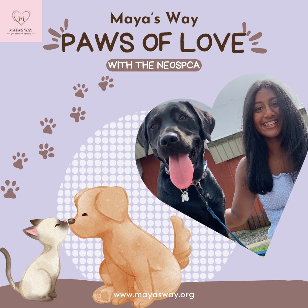 Paws of Love Event Flyer