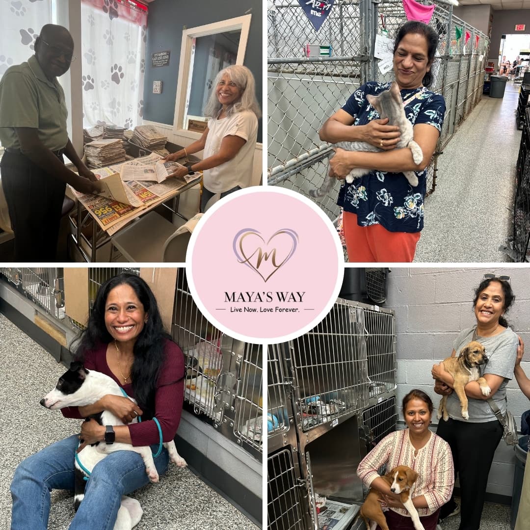 Caring for animals in need