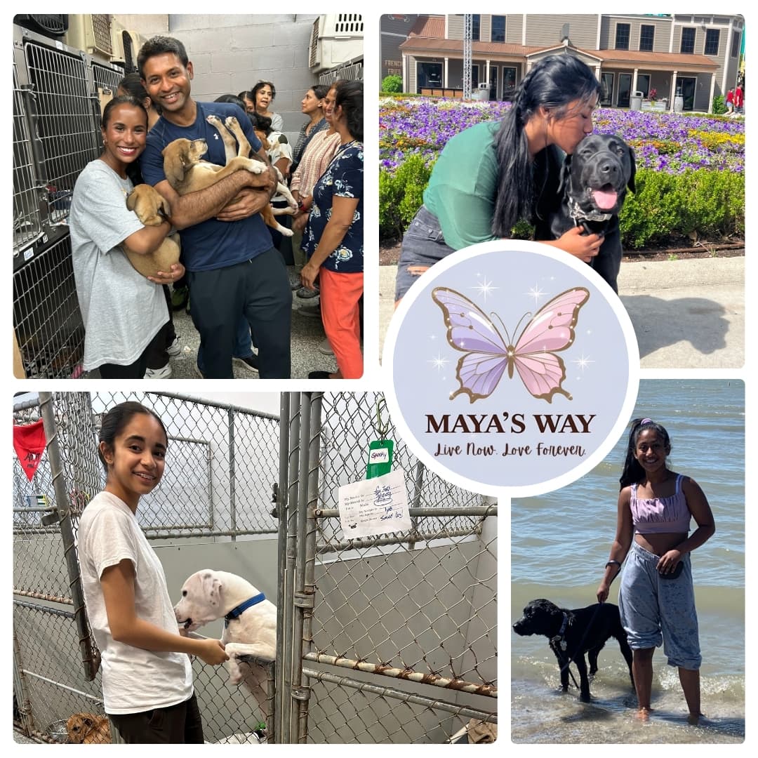 Paws of Love community event