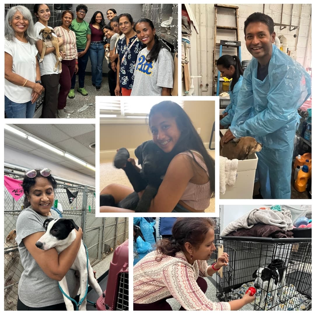 Paws of Love Event - Animal Shelter Volunteering